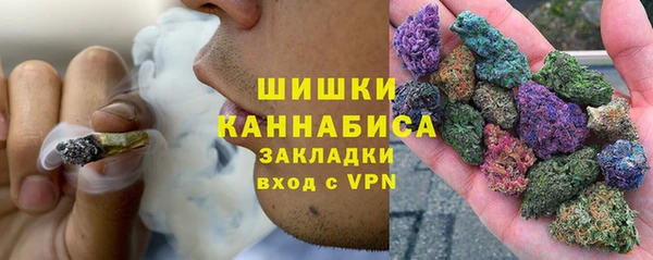 прущие грибы Киреевск