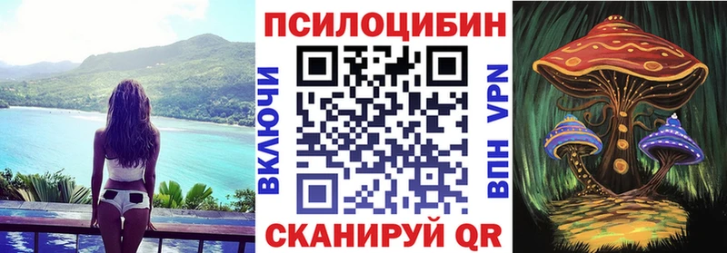 Купить где  Лебедянь  Псилоцибиновые грибы Psilocybe 